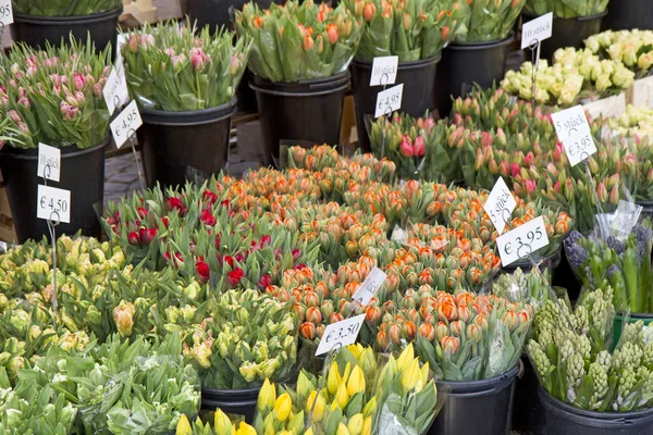 Selection Colorful Tulips Weekly Market Royalty Free Stock Photos