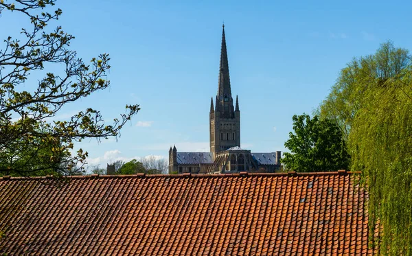 Kathedraal Van Norwich Gefotografeerd Vanaf Riverside Road Zittend Achter Een — Stockfoto