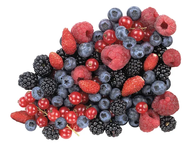 Berries Closeup Shot Konsep Makanan Sehat — Stok Foto