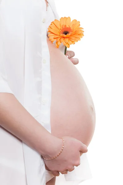 Беременная Женщина Цветком Белом Фоне — стоковое фото