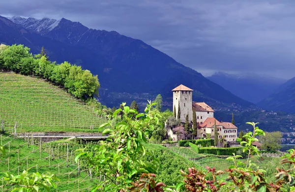 Château Tyrol Sud — Photo