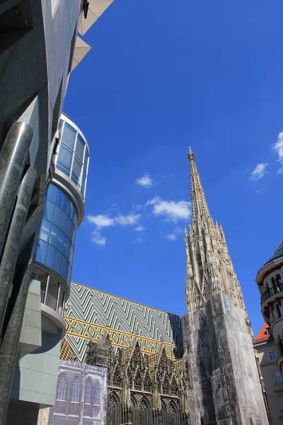 Καθεδρικός Ναός Του Αγίου Στεφάνου Στη Βιέννη — Φωτογραφία Αρχείου