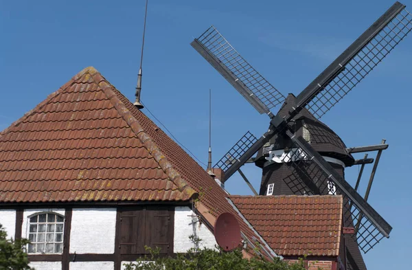 Museumsmühle Lehmkerhafen Auf Fehmarn — Stockfoto