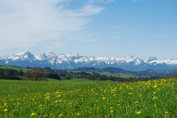 Wiesen Und Alpen Bayern Deutschland — Stockfoto