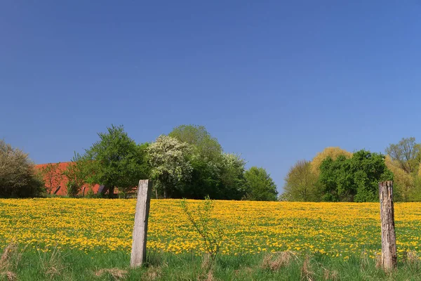 Vista Pittoresca Della Scena Della Natura — Foto Stock