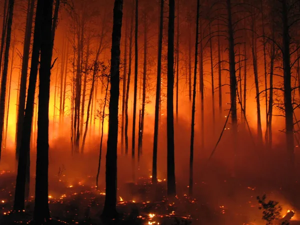 Пекло Лісі — стокове фото
