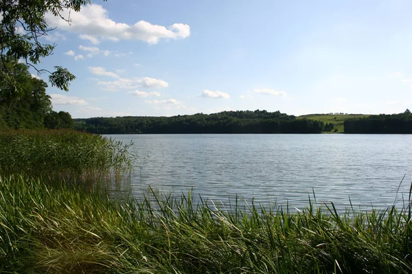 Zielony Brzeg Jeziora Lecie Sanfem Wzgórza Tle — Zdjęcie stockowe