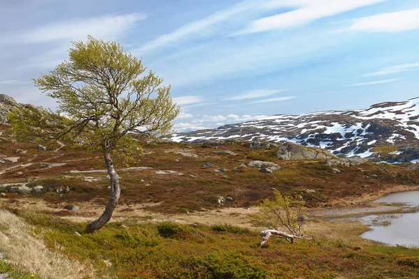 Widok Krajobrazy Skandynawii Europie Północnej — Zdjęcie stockowe