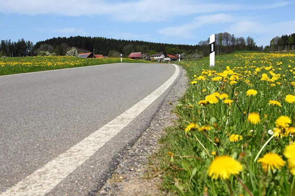 Landschappelijke Visie Landbouw Het Platteland — Stockfoto