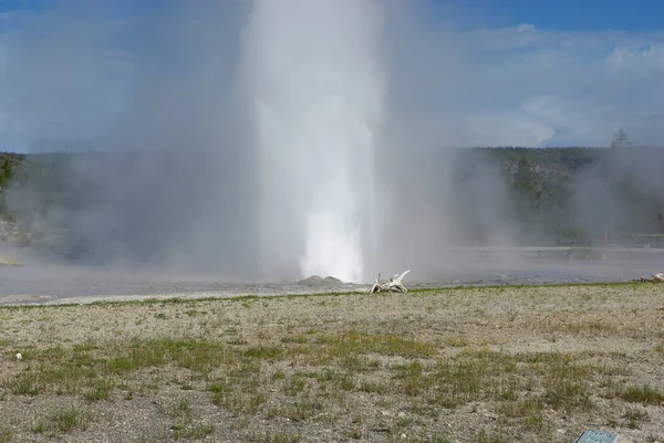 Geyser Parco Nazionale Yellowstone Wyoming — Foto Stock