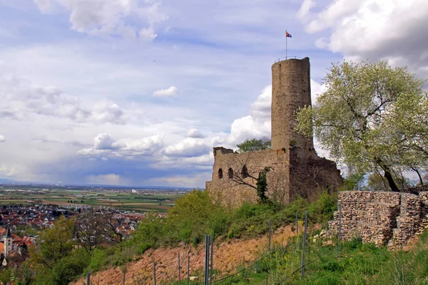 Vista Panoramica Bella Architettura Fortezza Medievale — Foto Stock