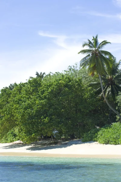 Coast Indian Ocean Maldives — Stock Photo, Image