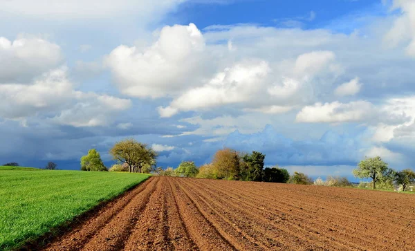 Vakker Utsikt Til Naturlandskap – stockfoto