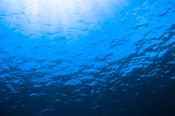 Escena Submarina Con Luz Solar Través Del Agua — Foto de Stock