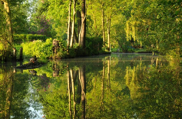 Spreewald Cerca Lehde —  Fotos de Stock