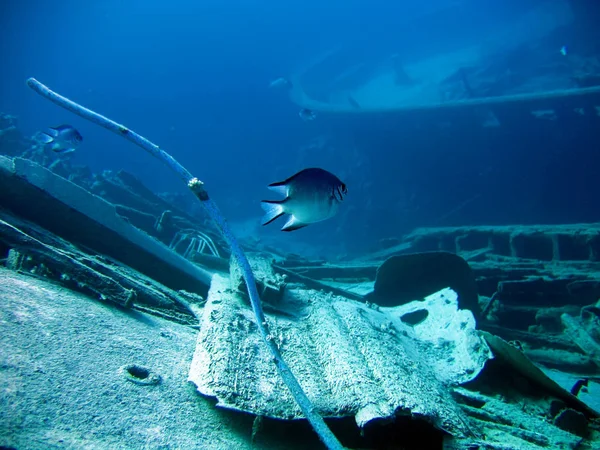 Unterwasserlandschaft Mit Bootsfragmenten Und Fischen Das Rote Meer — Stockfoto