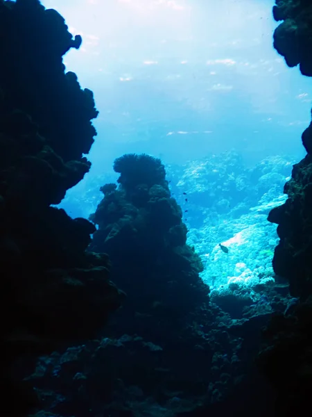 Ηλιακό Φως Από Την Υποβρύχια Σπηλιά Ερυθρά Θάλασσα — Φωτογραφία Αρχείου