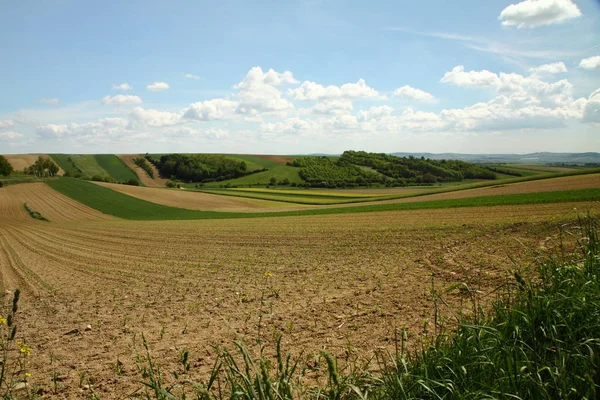 Ländliche Landwirtschaft Ackerland — Stockfoto