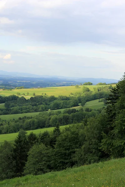 Blickar Norrut Från Bokberget Neuhofen — Stockfoto