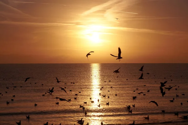ドイツのバルト海沿岸で夏の終わりにロマチシャーの日の出 — ストック写真