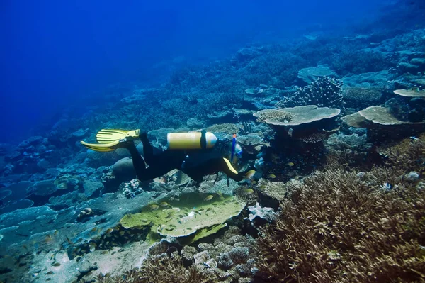 Mergulhador Com Câmera Fundo Fotógrafo Subaquático — Fotografia de Stock