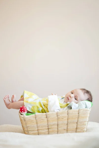 Porträt Eines Niedlichen Neugeborenen Mädchens Das Einem Korb Einem Niedlichen — Stockfoto