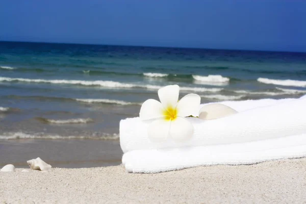 Towel Plumeria Lower Tropical Beach — 스톡 사진