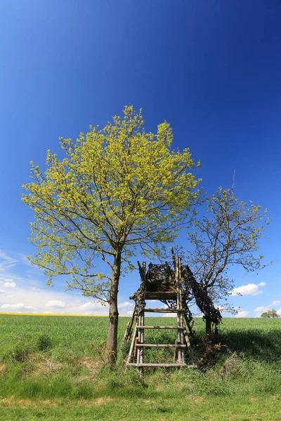 Beierse Prachtige Landstreek Van Duitsland — Stockfoto