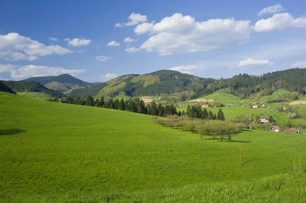 Festői Kilátás Természet Táj — Stock Fotó