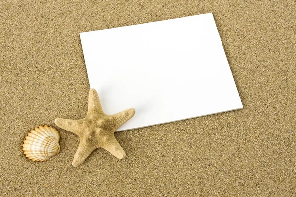 Пустой Список Ракушка Морская Звезда Лежащая Песке Пляже — стоковое фото