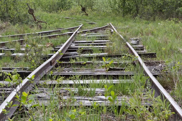 Εγκαταλειμμένη Σιδηροδρομική Γραμμή Βάλτο Στη Βαυαρία — Φωτογραφία Αρχείου