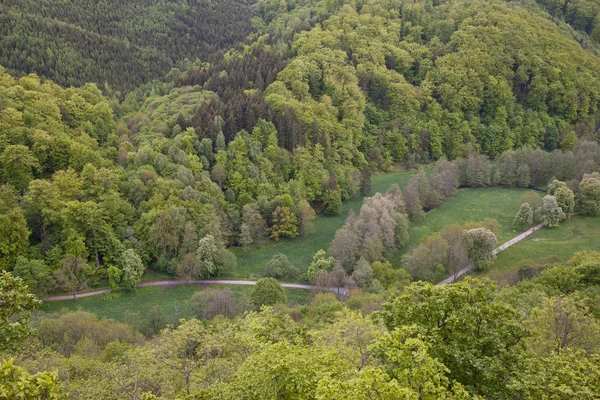 Selketalstieg Kilátás Selkesicht — Stock Fotó