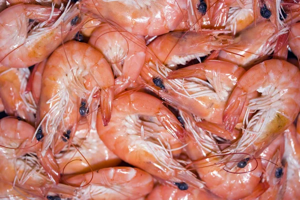 Красные Креветки Морепродукты — стоковое фото