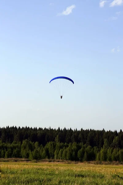 Paraglider Sopra Foresta Con Ala Blu — Foto Stock