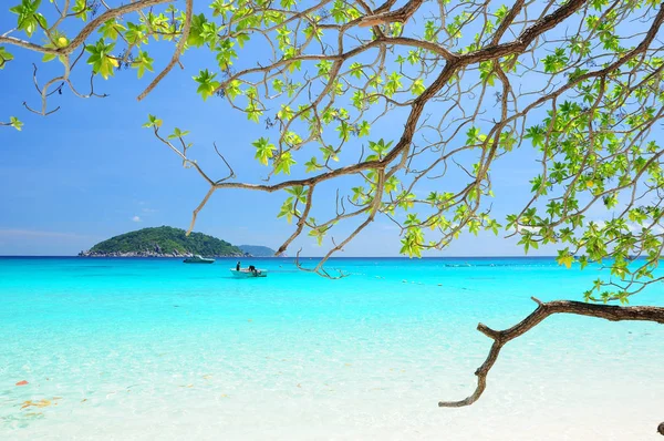 Similan Islands Paradise Bay Tailandia —  Fotos de Stock