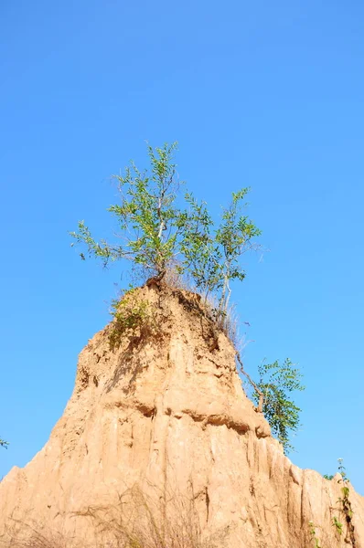 Bodemkolommen Het Nationale Park Van Thailand — Stockfoto