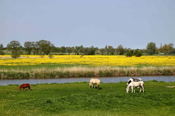 Malerischer Blick Auf Die Outdoor Szene — Stockfoto