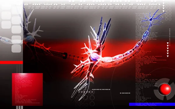 Цифрова Ілюстрація Нейрона Кольоровому Фоні — стокове фото