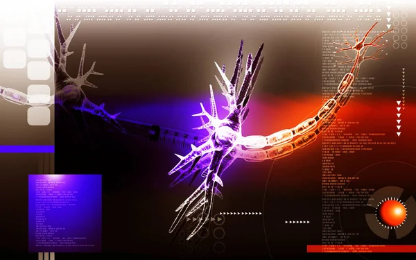 Ilustración Digital Neuronas Fondo Color — Foto de Stock