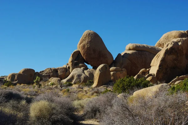 Leaning Rock Joshua Tree National Park California — Stock Photo, Image