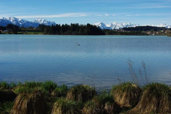 Lago Alpes Perto Lechbruck Alemanha — Fotografia de Stock