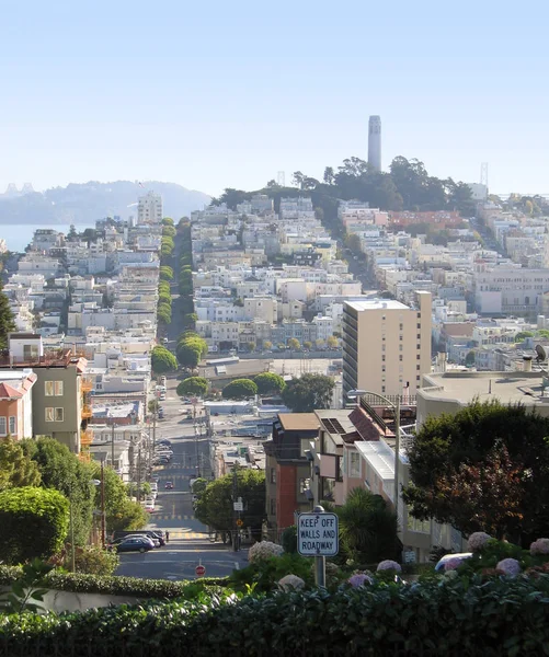 Idilliaca Vista Sulla Città Che Mostra Dettaglio San Francisco Usa — Foto Stock