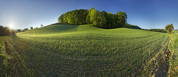 Sunrise Odenwald — Stock Photo, Image