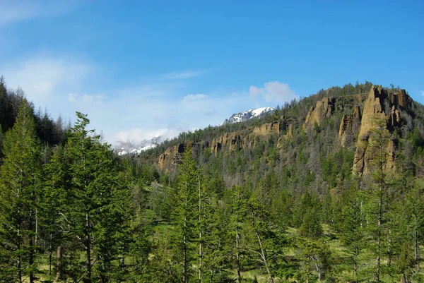 Forest Beautiful Rocks Mountains Yellowstone National Park Wyoming — Stock Photo, Image