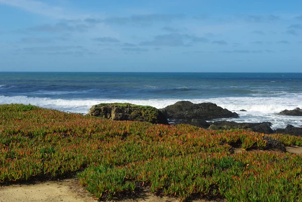 Pacifico Paesaggio Costiero California — Foto Stock