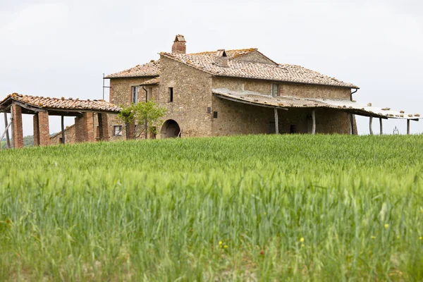 Paisaje Toscana Pienza — Foto de Stock