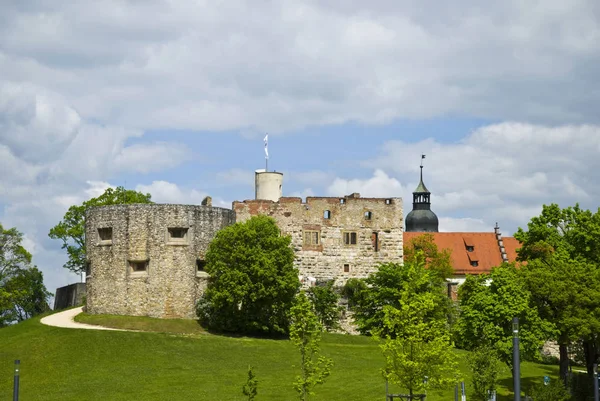 Vacker Utsikt Över Majestätisk Medeltida Slottsarkitektur — Stockfoto