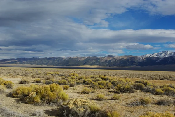 Alta Paisagem Deserto Nevada — Fotografia de Stock