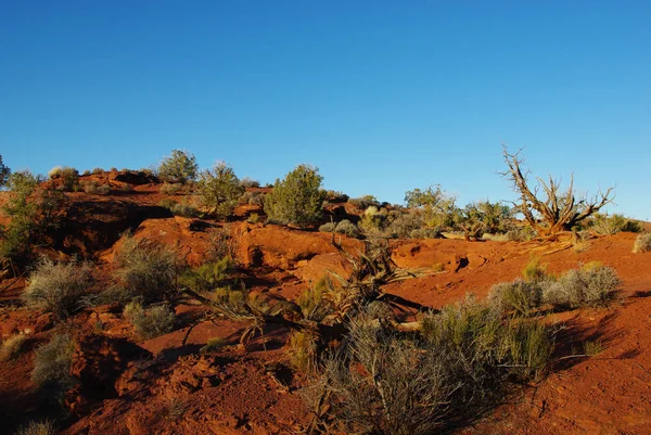 Röd Grön Och Blå Utah — Stockfoto