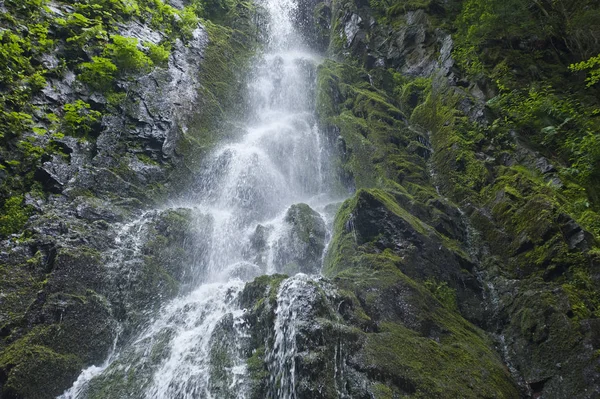 Hermosa Cascada Sobre Fondo Naturaleza — Foto de Stock